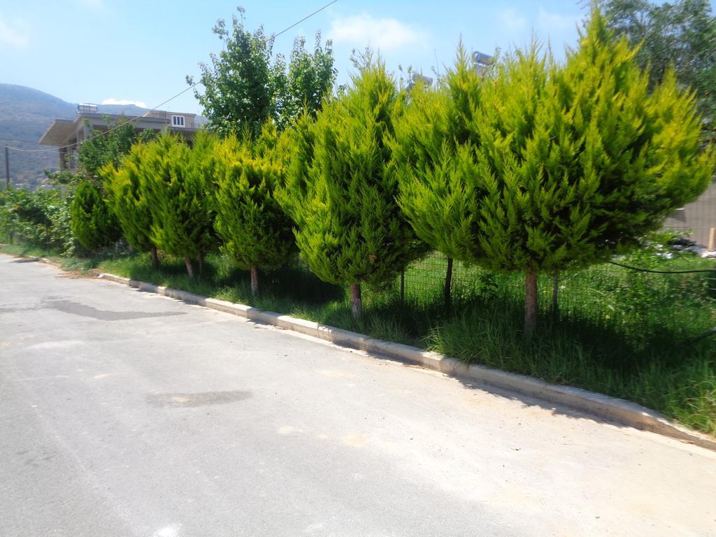 Creta Nostos Luxury Apartment Tsikalaria  Екстериор снимка
